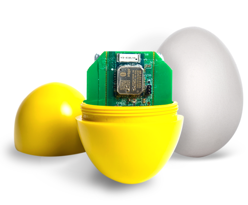 EggsHome1028-new