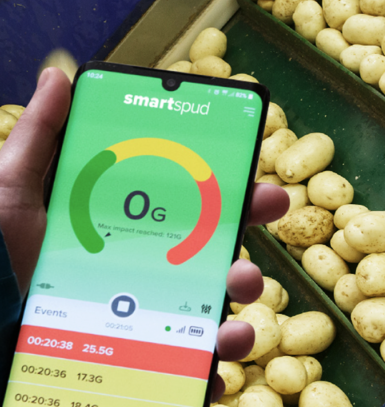 Potatoes on a line with sensor_HR