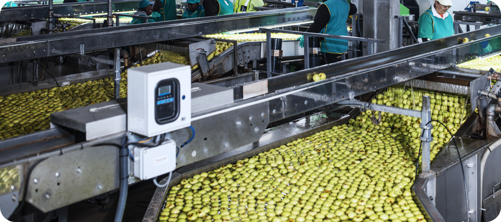 limes-processing-plan
