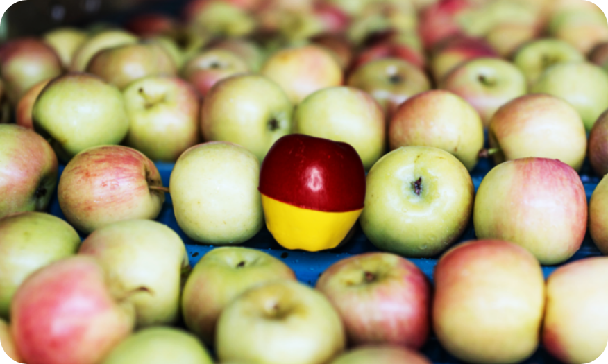 smart-spud-apples