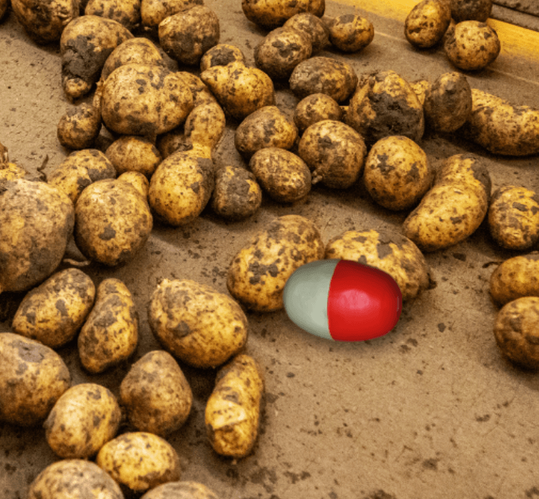smartspud-for-potatoegrowers