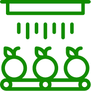 Harvest Icon